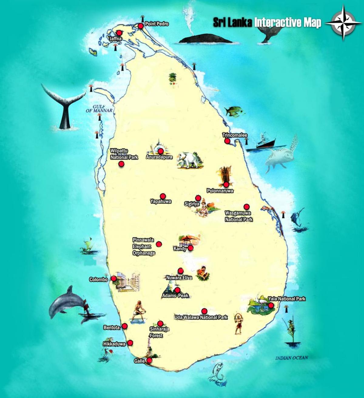adam hámarki kort Sri Lanka