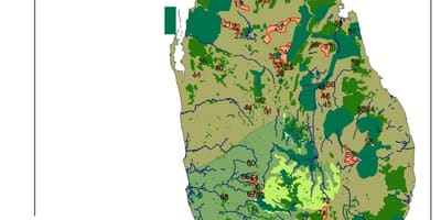 Kort af Sri Lanka skógum
